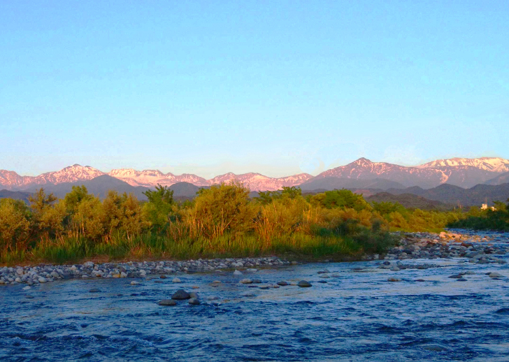 お米づくりの環境 富山県富山市/コシヒカリ/農業法人