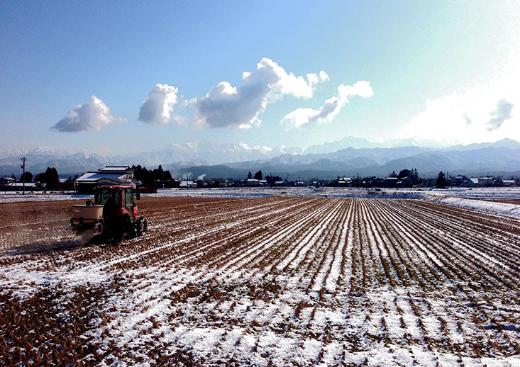 土へのこだわり