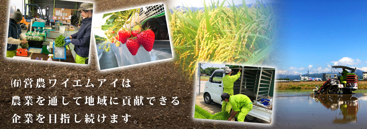 (有)営農ワイエムアイは農業を通して地域に貢献できる企業を目指し続けます。
