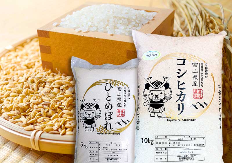 オンラインショップ　通信販売